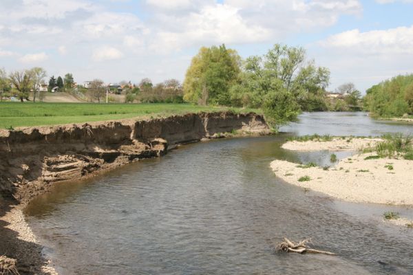 Čata, 16.4.2014
Meandry Hronu nad mostem.



Schlüsselwörter: Čata Hron Zorochros dermestoides quadriguttatus