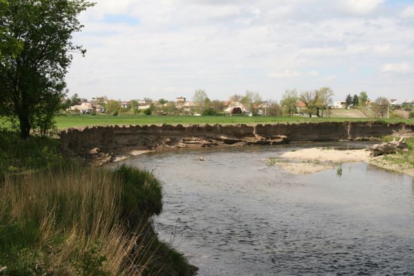 Čata, 16.4.2014
Meandry Hronu nad mostem. 


Schlüsselwörter: Čata Hron Zorochros dermestoides quadriguttatus