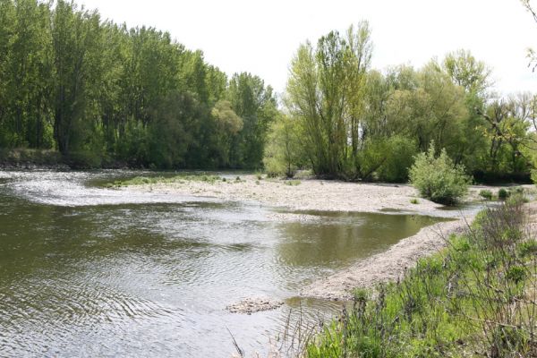 Čata, 16.4.2014
Meandry Hronu pod mostem – ostrov.

Schlüsselwörter: Čata Hron