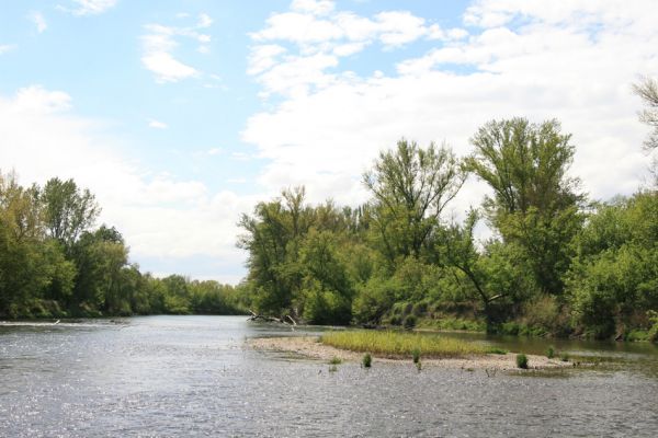 Čata, 16.4.2014
Meandry Hronu pod mostem – ostrov.



Klíčová slova: Čata Hron