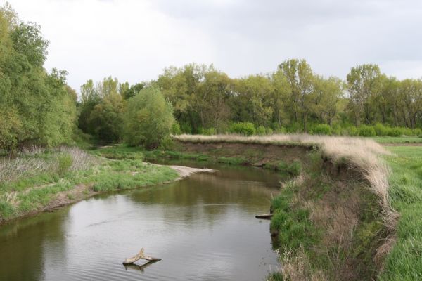 Čata, 16.4.2014
Meandry Hronu pod mostem – bočního rameno. 



Mots-clés: Čata Hron