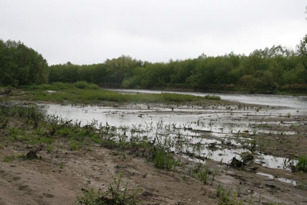 Čata, 16.4.2014
Meandry Hronu pod mostem – rozsáhlé písčité náplavy u jižní části ostrova.



Klíčová slova: Čata Hron