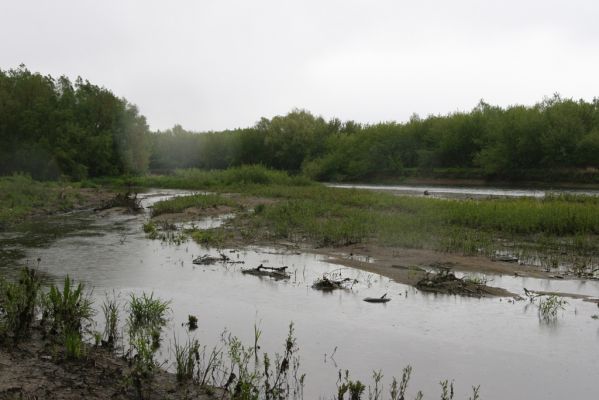 Čata, 16.4.2014
Meandry Hronu pod mostem – rozsáhlé písčité náplavy u jižní části ostrova.



Klíčová slova: Čata Hron