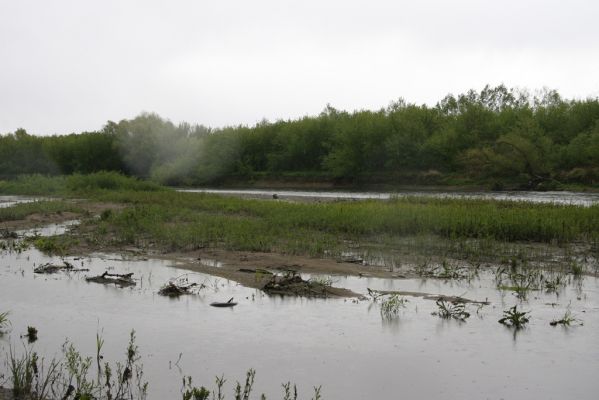 Čata, 16.4.2014
Meandry Hronu pod mostem – rozsáhlé písčité náplavy u jižní části ostrova.


Klíčová slova: Čata Hron