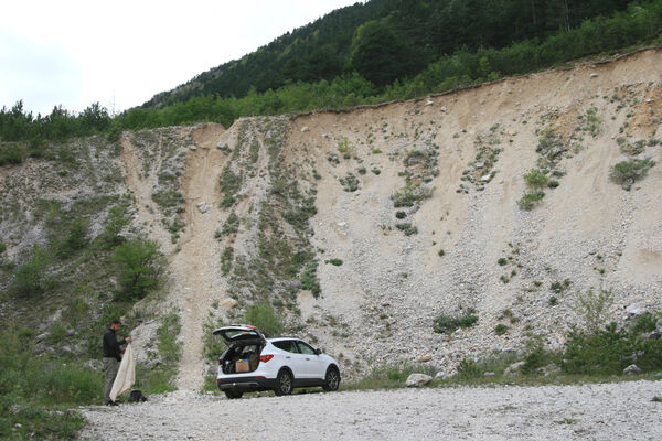 Predmeja, 15.5.2017
Starý vápencový lom.
Mots-clés: Ajdovščina Predmeja Trnovski gozd Trnovo Forest Plateau Čaven planina plateau lom Ctenicera virens