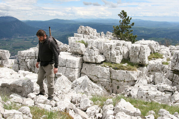 Ajdovščina, Stomaž, 15.5.2017
Bílá skála na jihovýchodním okraji planiny Čaven. 
Klíčová slova: Ajdovščina Stomaž Trnovski gozd Trnovo Forest Plateau Čaven planina plateau Mali Modrasovec Mt. Dušánek Anostirus gracilicollis lauianus zenii