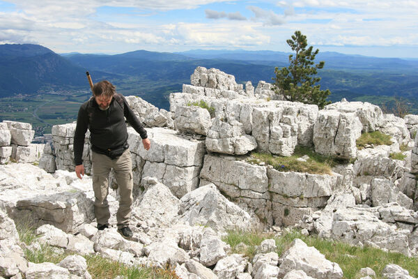 Ajdovščina, Stomaž, 15.5.2017
Bílá skála na jihovýchodním okraji planiny Čaven. 
Klíčová slova: Ajdovščina Stomaž Trnovski gozd Trnovo Forest Plateau Čaven planina plateau Mali Modrasovec Mt. Dušánek Anostirus gracilicollis lauianus zenii