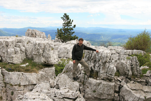 Ajdovščina, Stomaž, 15.5.2017
Bílá skála na jihovýchodním okraji planiny Čaven. 
Schlüsselwörter: Ajdovščina Stomaž Trnovski gozd Trnovo Forest Plateau Čaven planina plateau Mali Modrasovec Mt. Dušánek Anostirus gracilicollis lauianus zenii