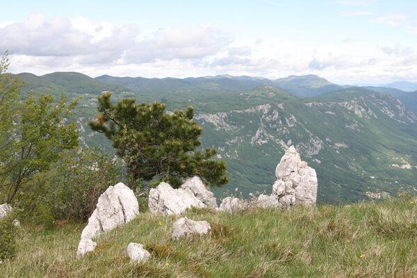 Ajdovščina, Stomaž, 15.5.2017
Skály na jihovýchodním okraji planiny Čaven. 
Schlüsselwörter: Ajdovščina Stomaž Trnovski gozd Trnovo Forest Plateau Čaven planina plateau Mali Modrasovec Mt.