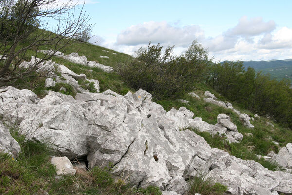 Ajdovščina, Stomaž, 15.5.2017
Skála na jihovýchodním okraji planiny Čaven. 
Schlüsselwörter: Ajdovščina Stomaž Trnovski gozd Trnovo Forest Plateau Čaven planina plateau Mali Modrasovec Mt. Anostirus zenii