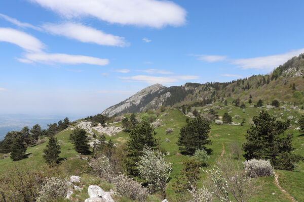 Ajdovščina, Stomaž, 21.5.2023
Jihovýchodní okraj planiny Čaven - louky v okolí Male gory.
Keywords: Ajdovščina Stomaž Trnovski gozd Trnovo Forest Plateau Čaven planina plateau Mali Modrasovec Mt.