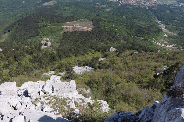 Ajdovščina, Stomaž, 21.5.2023
Jihovýchodní okraj planiny Čaven. Suťové pole pod Bílou skálou.
Klíčová slova: Ajdovščina Stomaž Trnovski gozd Trnovo Forest Plateau Čaven planina plateau Mali Modrasovec Mt.