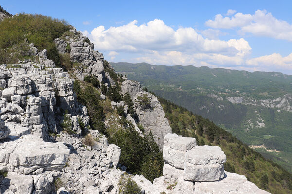 Ajdovščina, Stomaž, 21.5.2023
Jihovýchodní okraj planiny Čaven. Bílá skála - sem naletují kovaříci Anostirus gracilicollis, A. lauianus a A. zenii.
Klíčová slova: Ajdovščina Stomaž Trnovski gozd Trnovo Forest Plateau Čaven planina plateau Mali Modrasovec Mt. Anostirus gracilicollis lauianus zenii