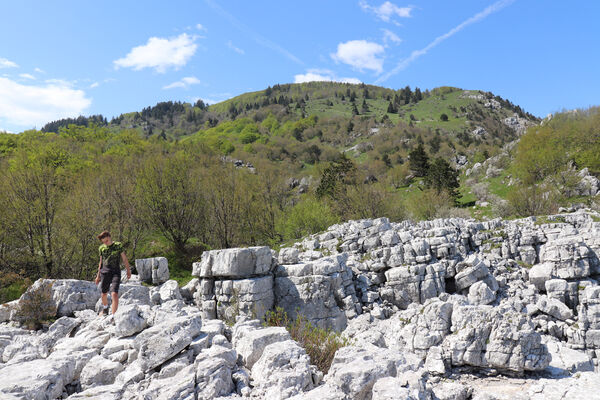 Ajdovščina, Stomaž, 21.5.2023
Jihovýchodní okraj planiny Čaven. Bílá skála - sem naletují kovaříci Anostirus gracilicollis, A. lauianus a A. zenii.
Keywords: Ajdovščina Stomaž Trnovski gozd Trnovo Forest Plateau Čaven planina plateau Mali Modrasovec Mt. Anostirus gracilicollis lauianus zenii