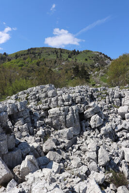 Ajdovščina, Stomaž, 21.5.2023
Jihovýchodní okraj planiny Čaven. Bílá skála - sem naletují kovaříci Anostirus gracilicollis, A. lauianus a A. zenii.
Schlüsselwörter: Ajdovščina Stomaž Trnovski gozd Trnovo Forest Plateau Čaven planina plateau Mali Modrasovec Mt. Anostirus gracilicollis lauianus zenii