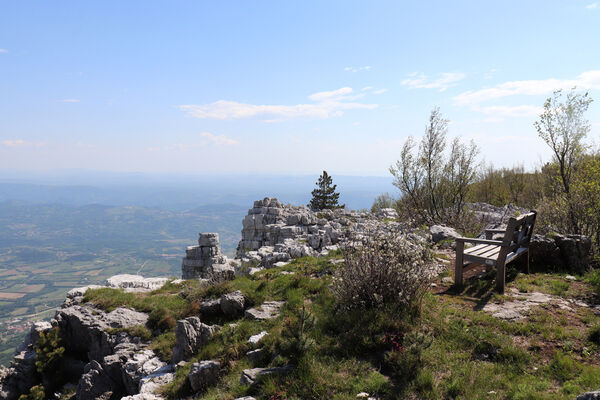 Ajdovščina, Stomaž, 21.5.2023
Jihovýchodní okraj planiny Čaven. Bílá skála - sem naletují kovaříci Anostirus gracilicollis, A. lauianus a A. zenii.
Mots-clés: Ajdovščina Stomaž Trnovski gozd Trnovo Forest Plateau Čaven planina plateau Mali Modrasovec Mt. Anostirus gracilicollis lauianus zenii