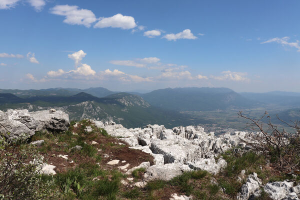 Ajdovščina, Stomaž, 21.5.2023
Jihovýchodní okraj planiny Čaven. Bílá skála - sem naletují kovaříci Anostirus gracilicollis, A. lauianus a A. zenii.
Klíčová slova: Ajdovščina Stomaž Trnovski gozd Trnovo Forest Plateau Čaven planina plateau Mali Modrasovec Mt. Anostirus gracilicollis lauianus zenii