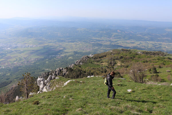 Ajdovščina, Stomaž, 22.5.2023
Mali Modrasovec, jihovýchodní okraj planiny Čaven. 
Klíčová slova: Ajdovščina Stomaž Trnovski gozd Trnovo Forest Plateau Čaven planina plateau Mali Modrasovec Mt. Anostirus zenii Dušánek