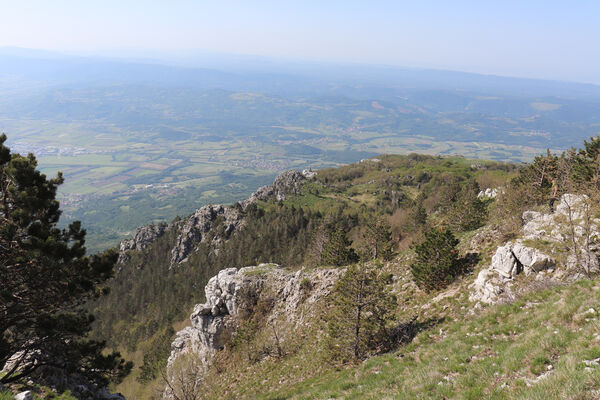 Ajdovščina, Stomaž, 22.5.2023
Mali Modrasovec, jihovýchodní okraj planiny Čaven. Biotop kovaříka Anostirus zenii. 
Keywords: Ajdovščina Stomaž Trnovski gozd Trnovo Forest Plateau Čaven planina plateau Mali Modrasovec Mt. Anostirus zenii