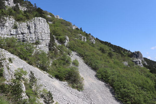 Ajdovščina, Stomaž, 16.5.2017
Jihovýchodní okraj planiny Čaven. Suťová pole pod Bílou skálou.
Keywords: Ajdovščina Stomaž Trnovski gozd Trnovo Forest Plateau Čaven planina plateau Mali Modrasovec Mt.