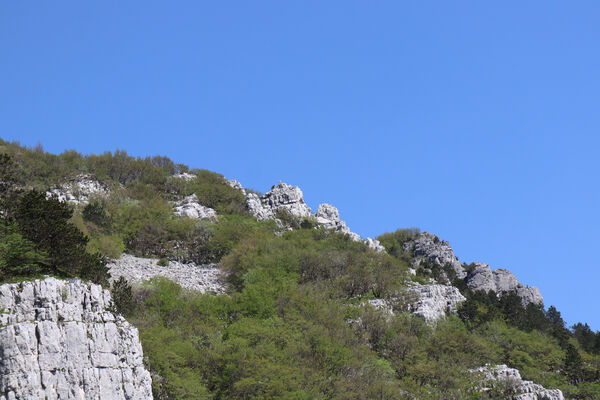 Ajdovščina, Stomaž, 16.5.2017
Jihovýchodní okraj planiny Čaven. 
Klíčová slova: Ajdovščina Stomaž Trnovski gozd Trnovo Forest Plateau Čaven planina plateau Mali Modrasovec Mt.