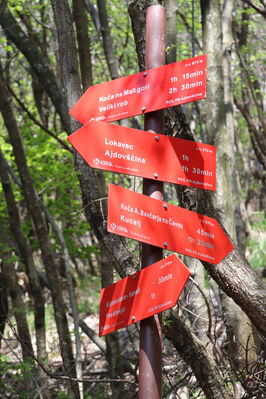 Ajdovščina, Stomaž, 16.5.2017
Mali Modrasovec, jihovýchodní okraj planiny Čaven. 
Klíčová slova: Ajdovščina Stomaž Trnovski gozd Trnovo Forest Plateau Čaven planina plateau Mali Modrasovec Mt.