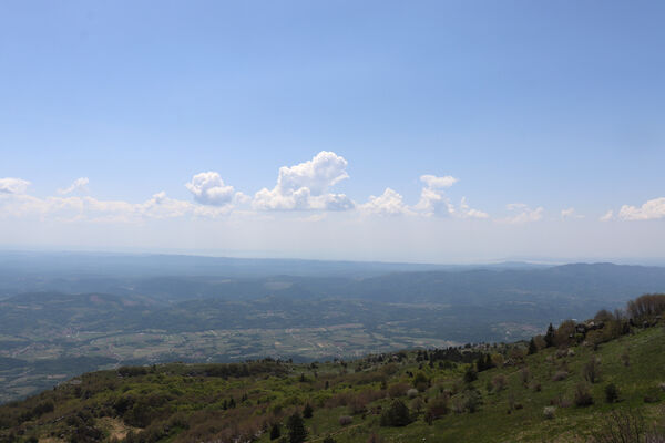 Ajdovščina, Stomaž, 16.5.2017
Jihovýchodní okraj planiny Čaven. Pohled na moře u Terstu.
Keywords: Ajdovščina Stomaž Trnovski gozd Trnovo Forest Plateau Čaven planina plateau Mali Modrasovec Mt.