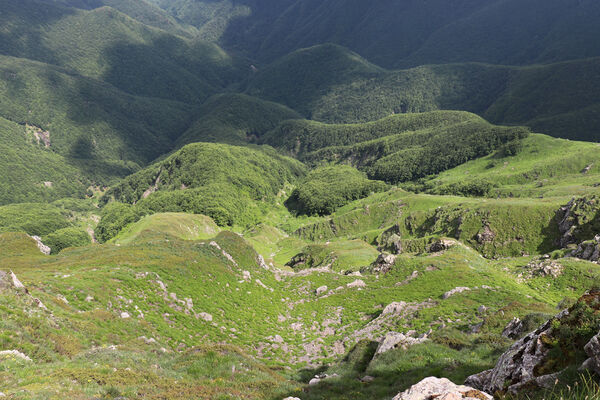 Lizzano in Belvedere, 16.6.2023
Parco Regionalle Corno alle Scale. Passo del Vallone - Punta Sofia Mt. Pohled do údolí Fosso delle Naspe.
Keywords: Emilia-Romagna Appennino Tosco Emiliano Lizzano in Belvedere Parco Regionale Corno alle Scale Cavone Rio Piano Corno alle Scale