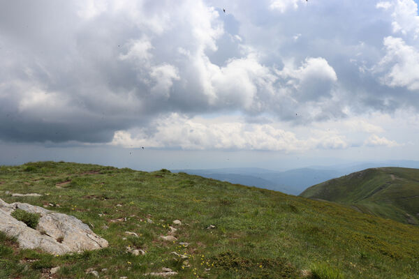 Lizzano in Belvedere, 16.6.2023
Parco Regionalle Corno alle Scale - vrchol Corno alle Scale s leteckým dnem rorýsů.
Schlüsselwörter: Emilia-Romagna Appennino Tosco Emiliano Lizzano in Belvedere Parco Regionalle Corno alle Scale Cavone Rio Piano Corno alle Scale