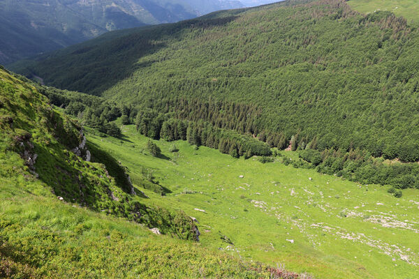 Lizzano in Belvedere, 16.6.2023
Parco Regionalle Corno alle Scale, Punta Sofia Mt. - Passo della Porticciola. Pohled do doliny Rio Piano.
Mots-clés: Emilia-Romagna Appennino Tosco Emiliano Lizzano in Belvedere Parco Regionalle Corno alle Scale Cavone Rio Piano Corno alle Scale Anostirus colacurcioi