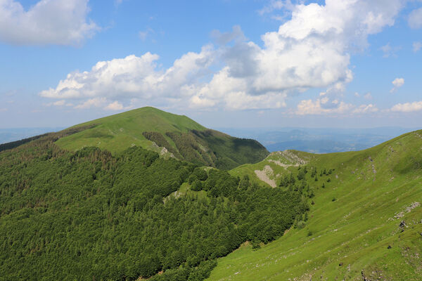 Lizzano in Belvedere, 16.6.2023
Parco Regionalle Corno alle Scale, Passo della Porticciola. Pohled na La Nuda Mt.
Schlüsselwörter: Emilia-Romagna Appennino Tosco Emiliano Lizzano in Belvedere Parco Regionalle Corno alle Scale Cavone Rio Piano Corno alle Scale Anostirus colacurcioi