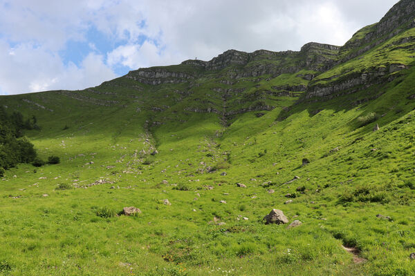 Lizzano in Belvedere, 16.6.2023
Parco Regionalle Corno alle Scale, dolina Rio Piano - Piana del Cavone. Typová lokalita kovaříka Anostirus colacurcioi.
Keywords: Emilia-Romagna Appennino Tosco Emiliano Lizzano in Belvedere Parco Regionalle Corno alle Scale Cavone Rio Piano Corno alle Scale Anostirus colacurcioi