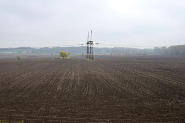 Čejč, 20.4.2008
Zde se kdysi rozkládalo slavné Čejčské jezero...
Klíčová slova: Čejč Čejčské jezero