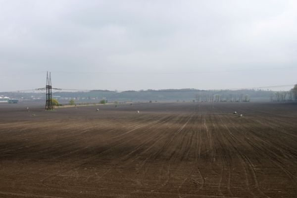 Čejč, 20.4.2008
Zde se kdysi rozkládalo slavné Čejčské jezero...
Klíčová slova: Čejč Čejčské jezero