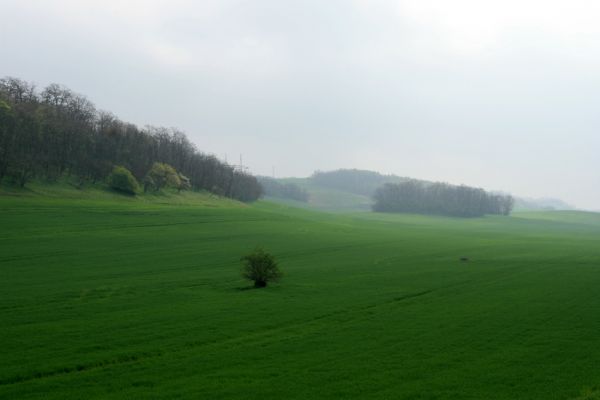 Čejč, 20.4.2008
Špidlák - Mansonova step. Pohled na svahy mezi Čejčí a Mutěnicemi. 
Keywords: Čejč Mutenice Špidlák