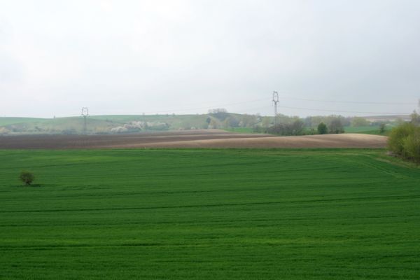 Čejč, 20.4.2008
Pohled z vrchu Špidlák na Květnatou step.
Klíčová slova: Čejč Špidlák Květnatá step