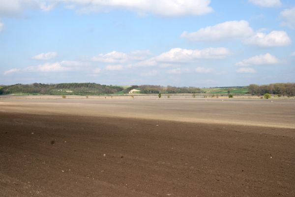 Čejč, 20.4.2008
Čejčská kotlina - bývalé Čejčské jezero. V pozadí uprostřed rezervace Výchoz, vlevo Bílý kopec.
Schlüsselwörter: Čejč Čejčské jezero Bílý kopec Výchoz