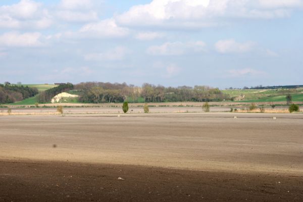 Čejč, 20.4.2008
Čejčská kotlina - bývalé Čejčské jezero. V pozadí rezervace Výchoz, vpravo Bílý kopec.
Schlüsselwörter: Čejč Čejčské jezero Výchoz Bílý kopec