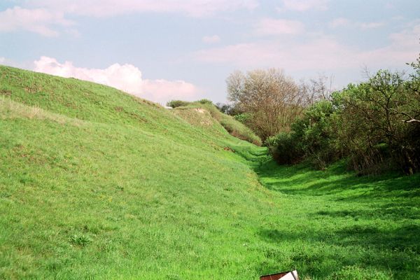 Čejč, 28.4.2005
Bílý kopec. Step se sprašovými stěnami u rezervace Výchoz. Biotop kovaříka Cardiophorus vestigialis.
Mots-clés: Čejč Výchoz Bílý kopec Cardiophorus vestigialis Dicronychus rubripes