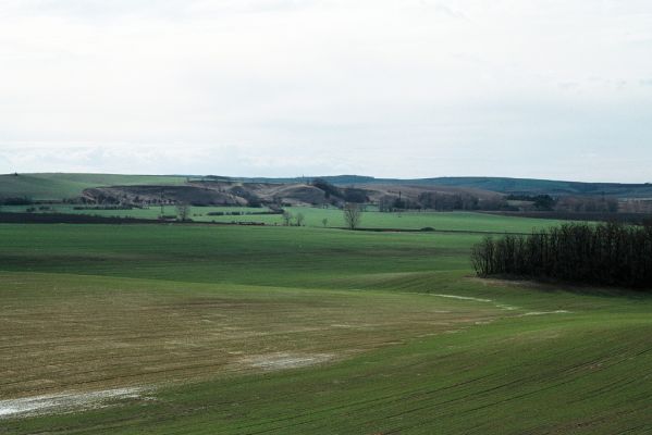 Mutěnice, 3.4.2006
Pohled od Mansonovy stepi na Špidláky.
Klíčová slova: Mutěnice Mansonova step Špidláky