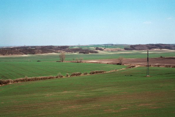 Čejč, 8.4.2006
Široké údolí mezi Čejčí a Mutěnicemi. Pohled od Květnaté stepi na Špidlák, Maladerovou step, Jiříčkovy terasy a Mansonovu step.
Klíčová slova: Čejč Mutěnice Květnatá step Špidláky