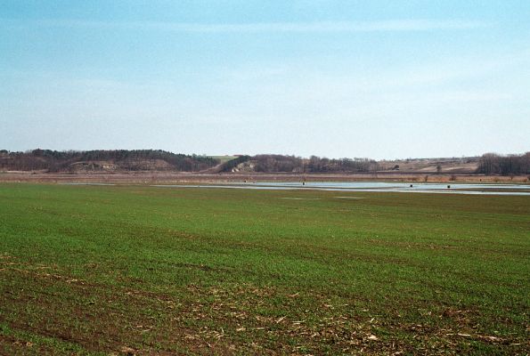 Čejč, 8.4.2006
Čejčská kotlina. Pohled na místo, kde bývalo slavné Čejčské jezero a rozsáhlá slaniště. V pozadí rezervace Výchoz. 
Keywords: Čejč Čejčská kotlina Čejčské jezero Výchoz