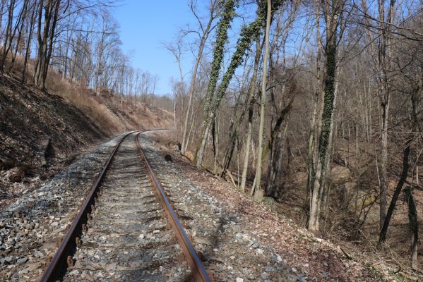 Mladá Boleslav, 28.3.2022
Čejetičky - les na pravé straně údolí. Pohled železniční trať Mšeno - Mladá Boleslav.
Klíčová slova: Mladá Boleslav Čejetičky údolí