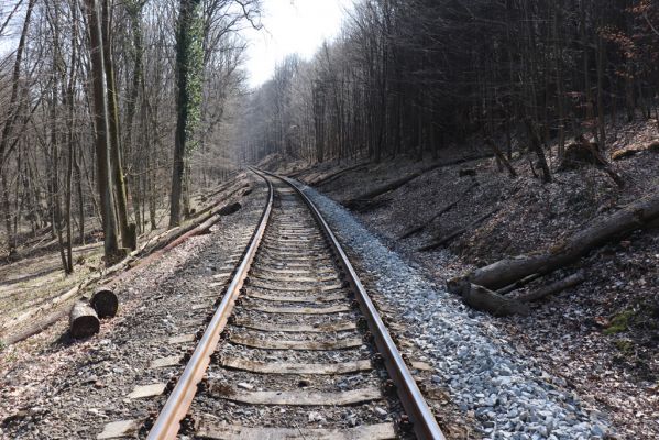 Mladá Boleslav, 28.3.2022
Čejetičky - les na pravé straně údolí. Pohled železniční trať Mšeno - Mladá Boleslav.
Schlüsselwörter: Mladá Boleslav Čejetičky údolí