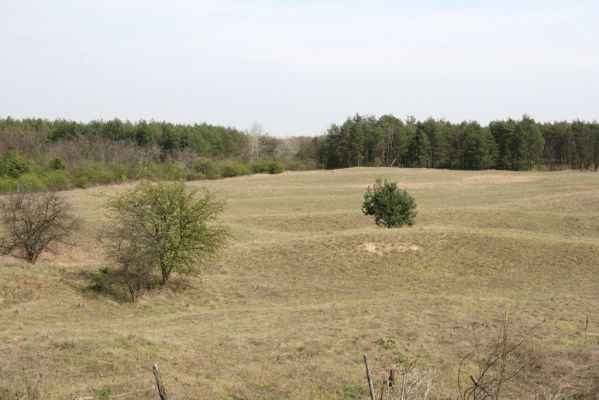 Mužla, Čenkov, 3.4.2014
Čenkovská step - pohled z valu bývalé střelnice.


Schlüsselwörter: Mužla Čenkov Čenkovská step Limonius poneli