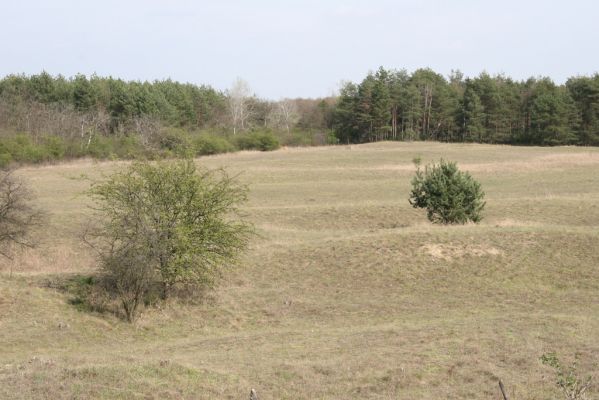 Mužla, Čenkov, 3.4.2014
Čenkovská step - pohled od západního okraje.



Schlüsselwörter: Mužla Čenkov Čenkovská step Limonius poneli