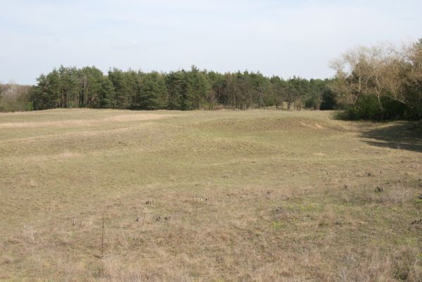 Mužla, Čenkov, 3.4.2014
Východní část Čenkovské stepi.



Klíčová slova: Mužla Čenkov Čenkovská step Limonius poneli