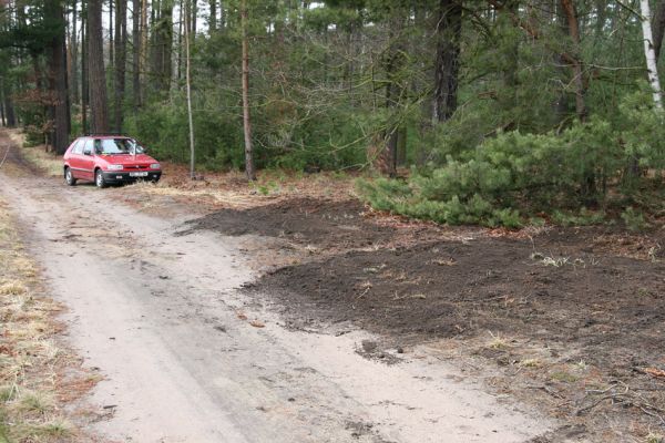 Čeperka - elektrovody, 19.3.2011
Předjarní brigáda zaměřená na prořezání březového náletu a rozvolnění písčin.
Schlüsselwörter: Čeperka elektrovody Cardiophorus ruficollis nigerrimus