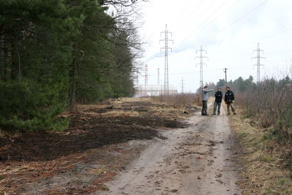 Čeperka - elektrovody, 19.3.2011
Předjarní brigáda zaměřená na prořezání březového náletu a rozvolnění písčin.
Klíčová slova: Čeperka elektrovody Dušánek Krátký Pavel Cardiophorus ruficollis nigerrimus