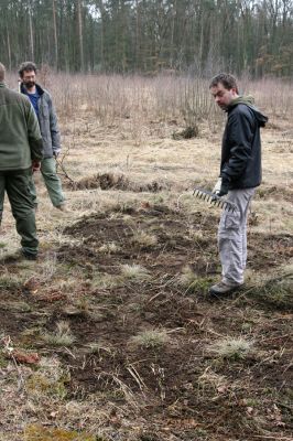 Čeperka - elektrovody, 19.3.2011
Předjarní brigáda zaměřená na prořezání březového náletu a rozvolnění písčin. Vyřezáno a rozvolněno...
Keywords: Čeperka elektrovody Mikát Pelikán Kormoš